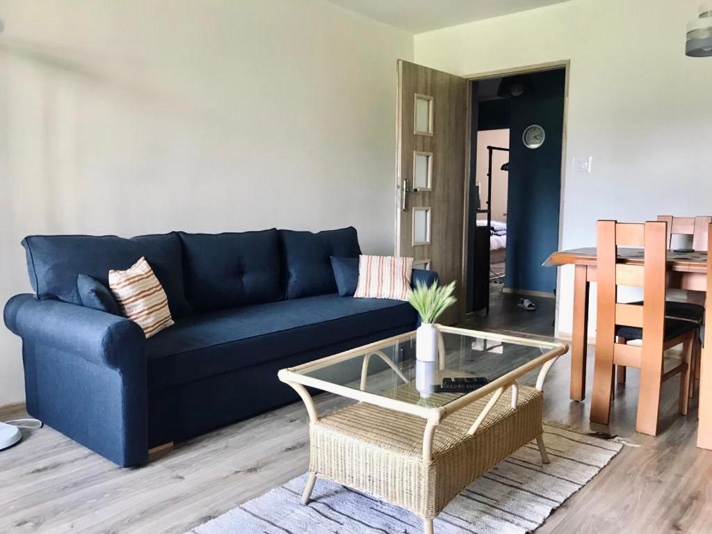 Apartament U Krola Sledzia קולובז'ג מראה חיצוני תמונה